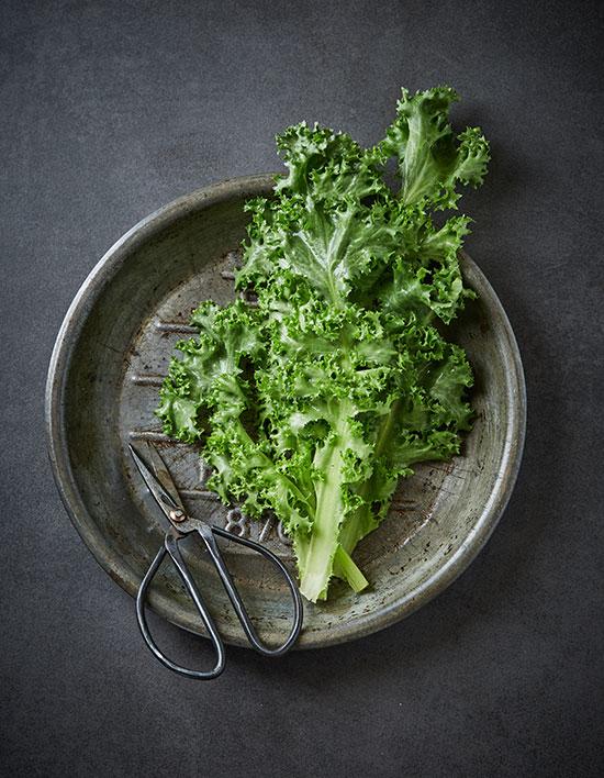 친환경 잎채소 치커리 100g