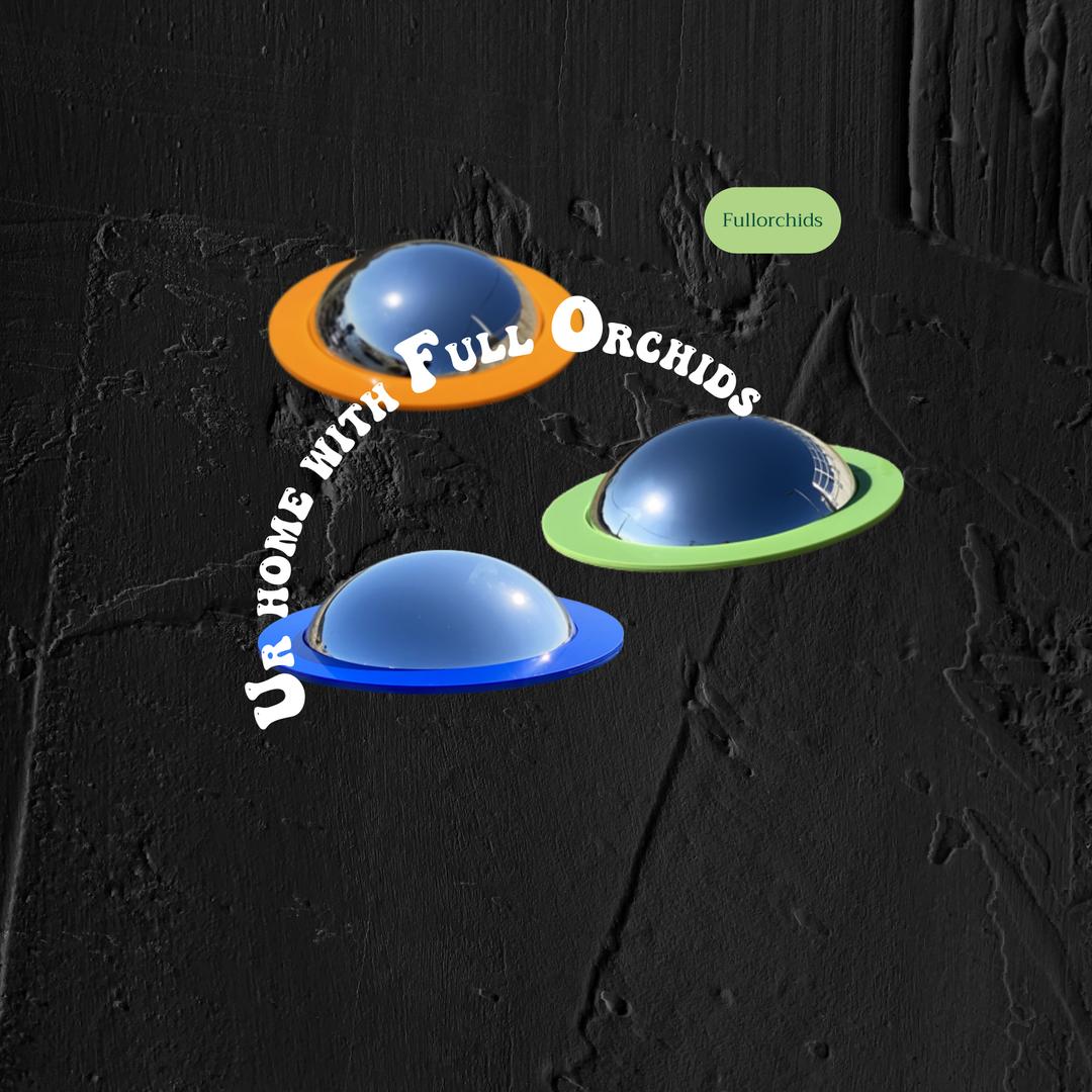 4차 바로배송 / 5차 Fullorchids) UFO Convex Mirror