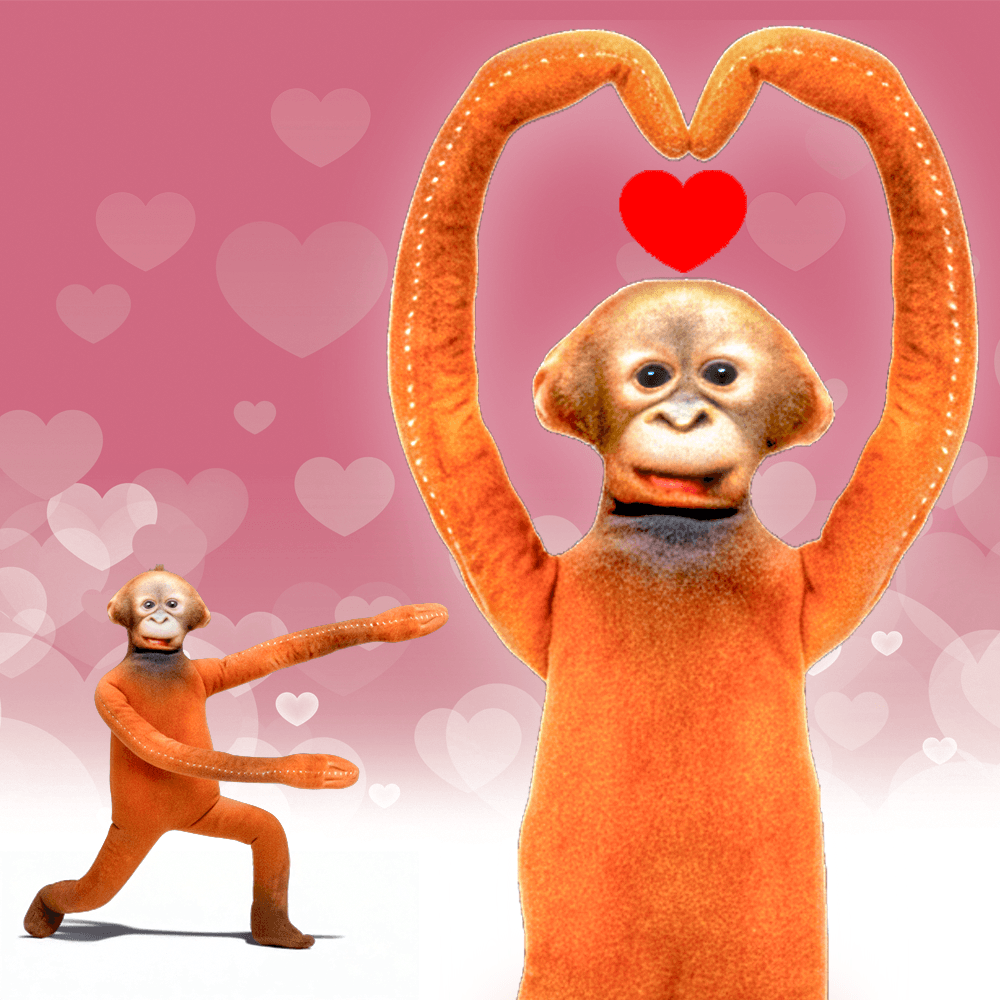 원숭이 관절 인형 [품절대란] 귀여운 여자선물 재미있는 웃긴 쓸데없는 쓸모없는 신박한 선물