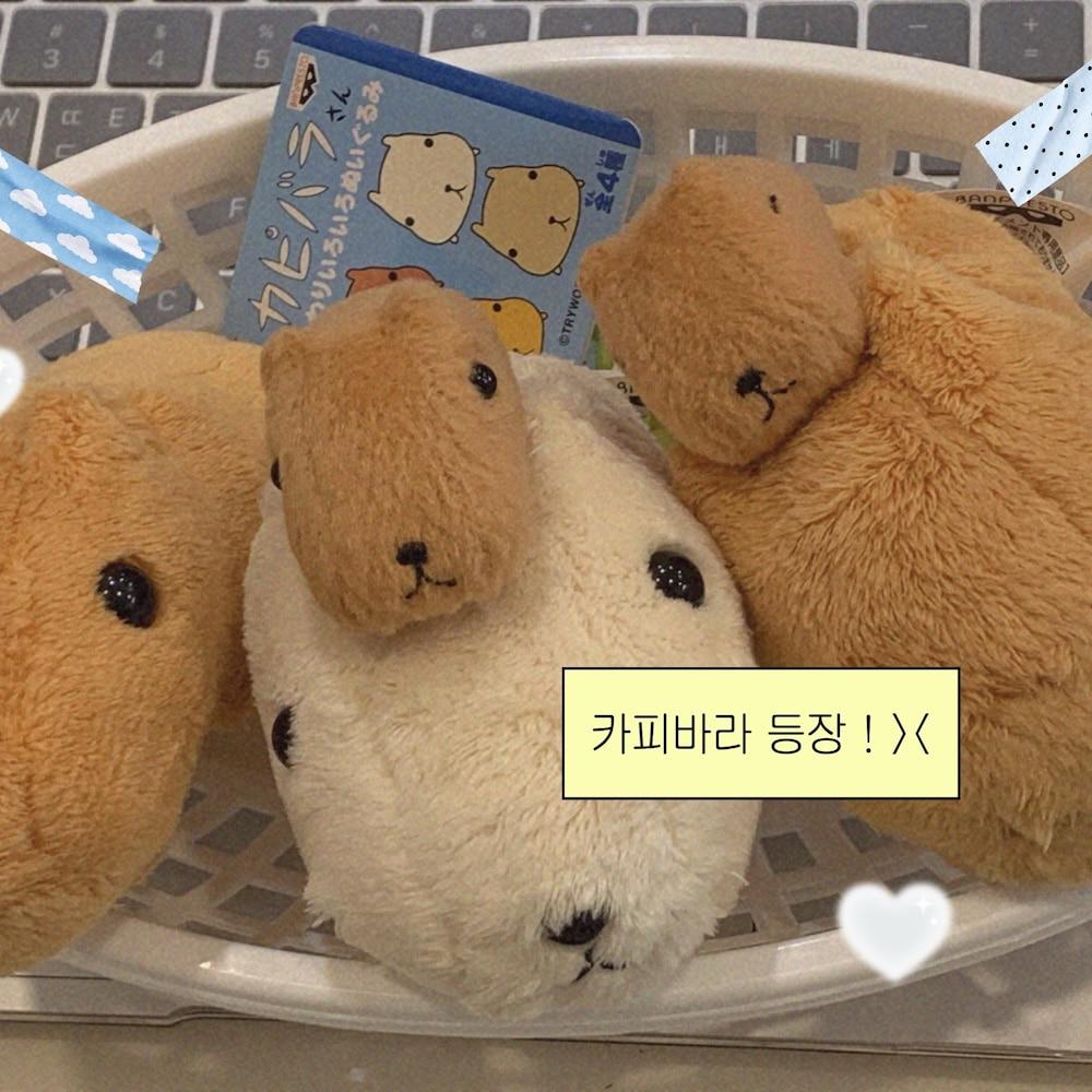 고전 카피바라 인형 (3종)