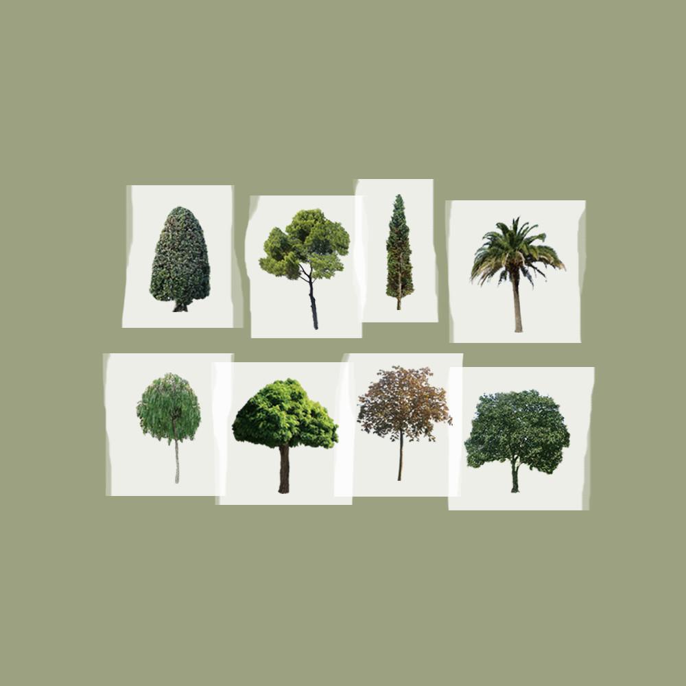 the tree masking tape / 나무 마스킹 테이프