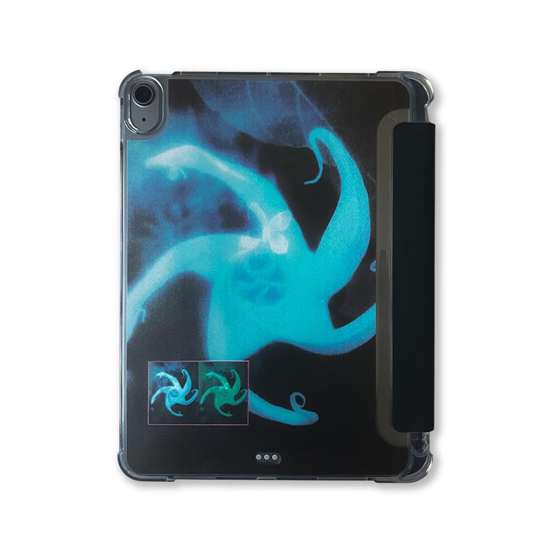 새벽나비 ipad case