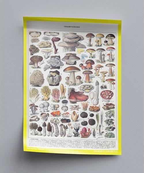 ADOLPHE MILLOT Poster - Yellow 아돌프 밀러 포스터 SSLGXX312Y2