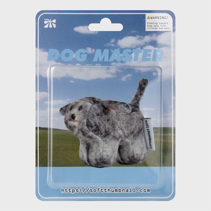 Kiki, Poodle