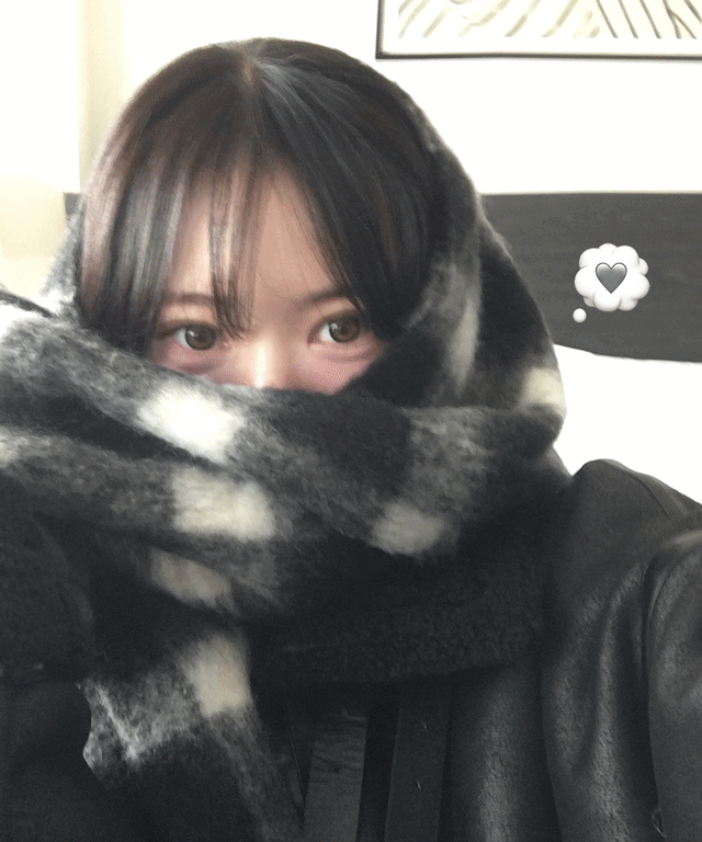 [도톰보송☃️/체크패턴] 이로 체크 도톰 수술 울 머플러 목도리 롱 체크보드 코디아이템 레이어드 겨울코디템/겨울아이템