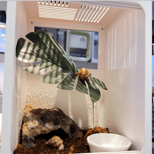 달팽이 사육 세트 달팽이키우기세트 달팽이사육장