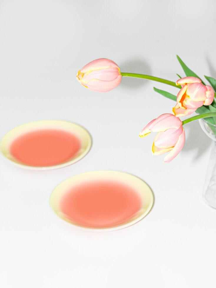 Fog mini plate 포그 미니 플레이트 April (Flamingo / Yellow)