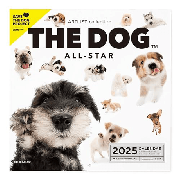 THE DOG 강아지 캘린더 2025 벽걸이 대형 사이즈 올스타