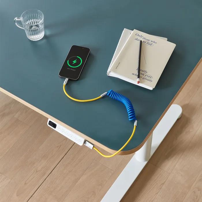 [C타입] 컬러팝 고속 충전 케이블 BLUE+YELLOW