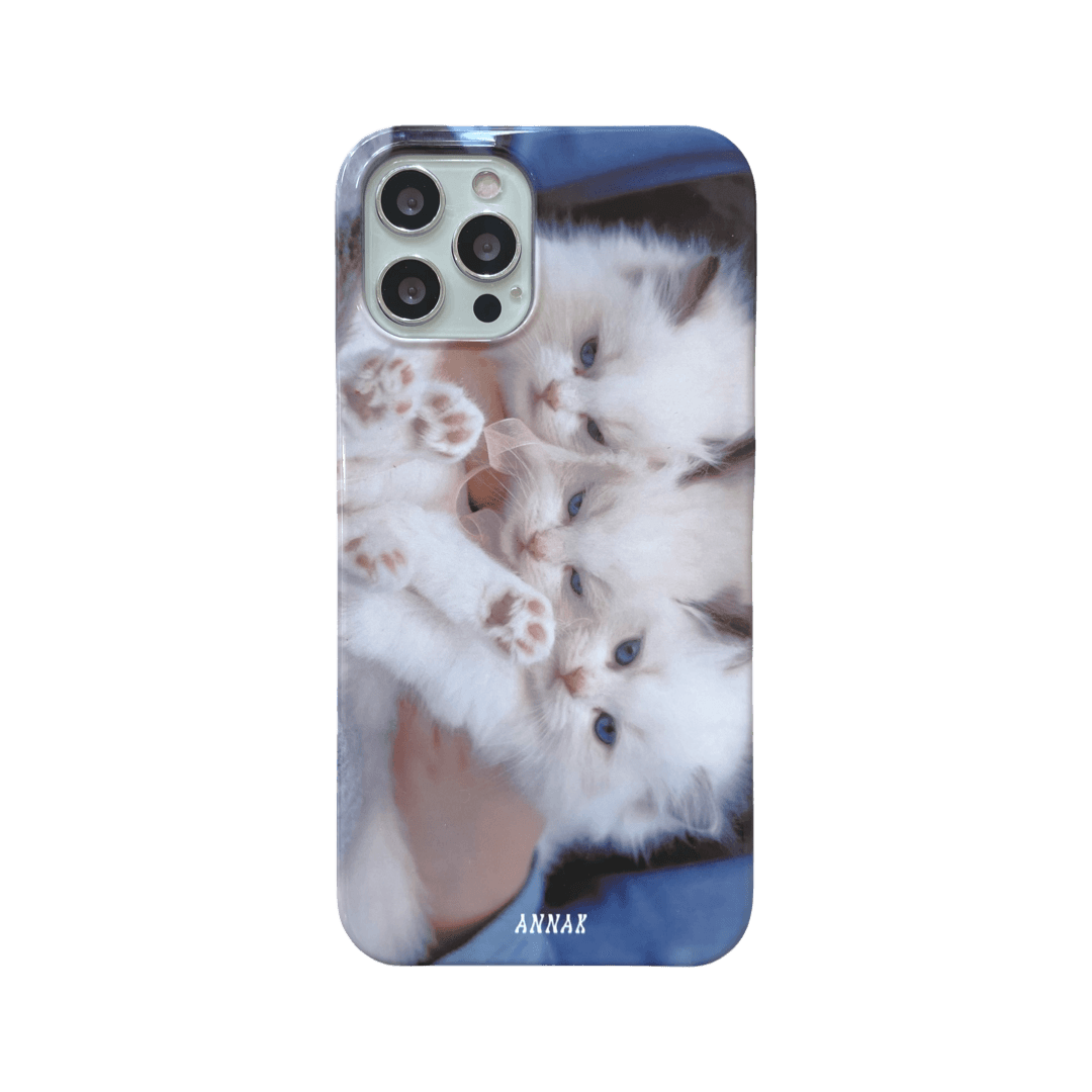 three kitty sisters hard case