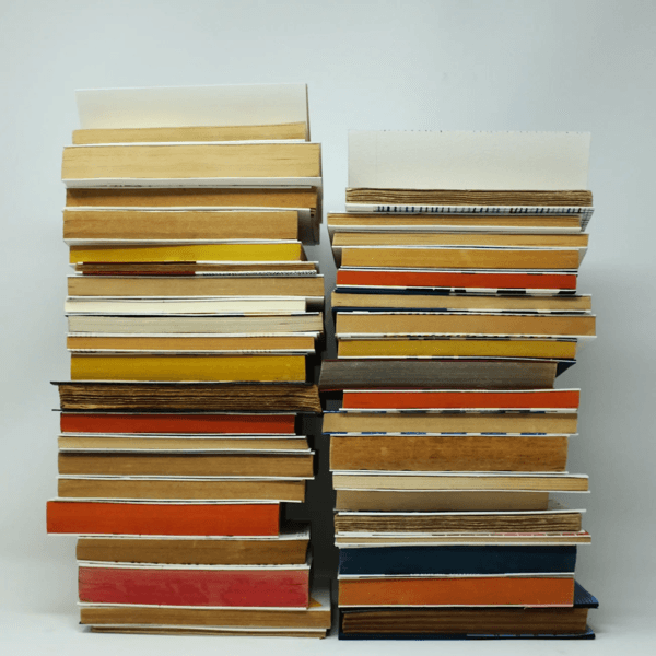 Nigel Peake - Une Bibliothèque (print)