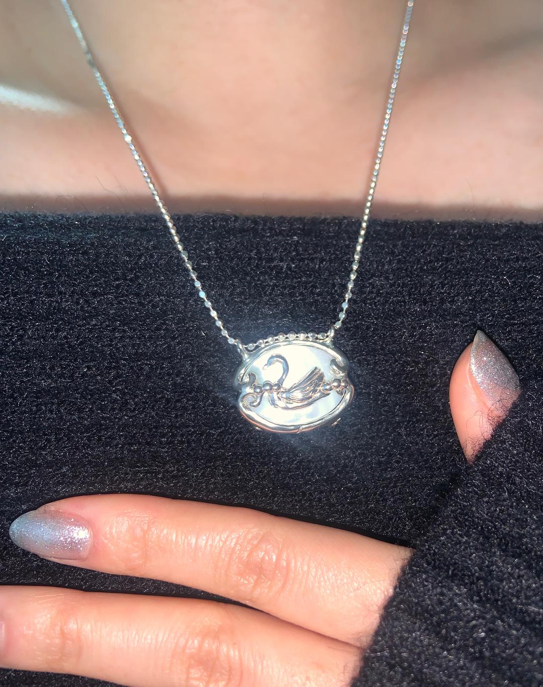 Frame of swan necklace