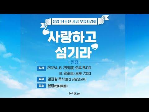 Diana sheer silk robe