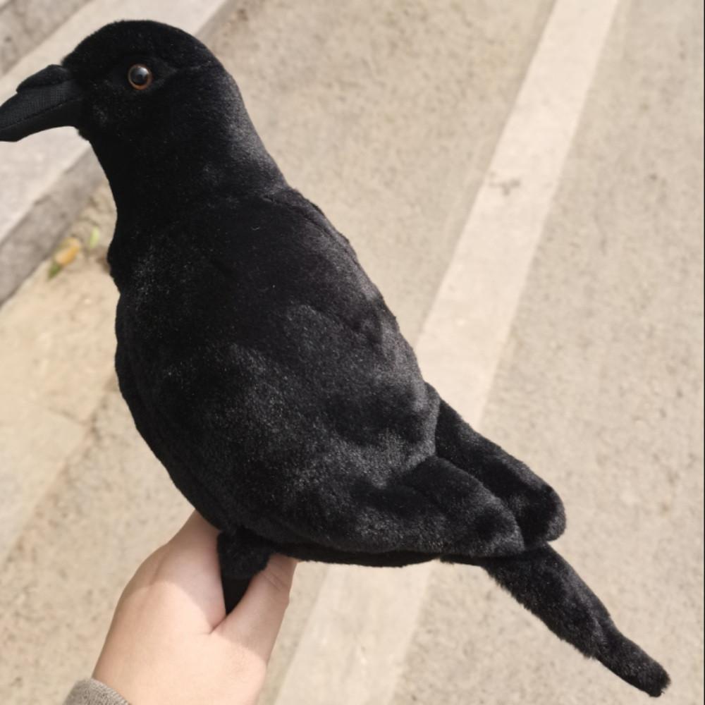 큰부리까마귀 인형 20cm jungle crow 가마리 가막귀