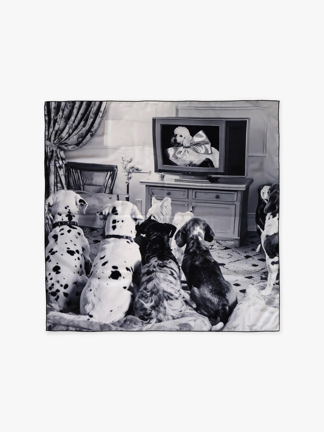 (10/30 12:00 OPEN) (ORDER MADE) PUPPY SCARF