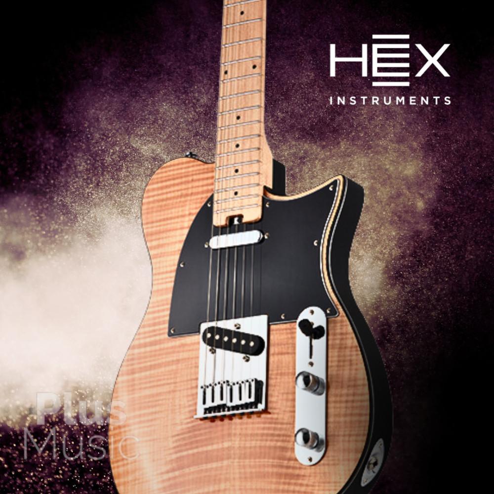 헥스 T200 NT 네츄럴 TELECASTER 입문용 텔레 일렉기타