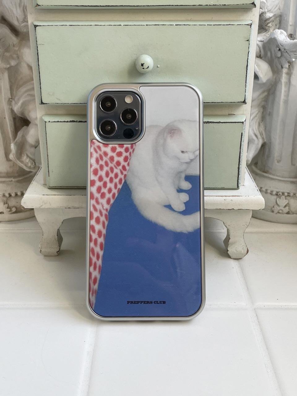 CAT IN BLUE CASE *SILVER GLASS TYPE