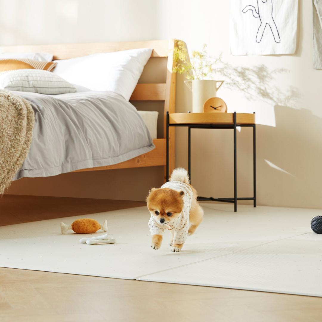 클린펫 PVC 매트