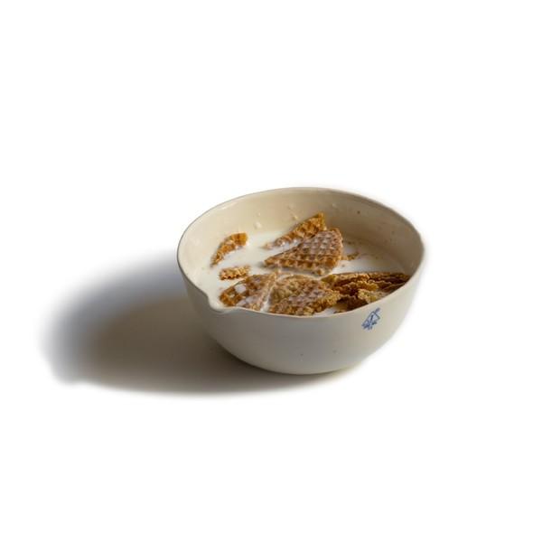 PORCELAIN LAB BOWL