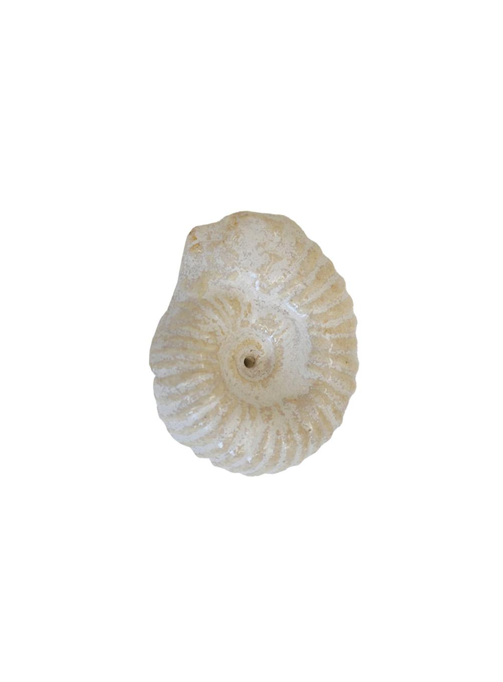 Ammonite Incense holder (ivory)