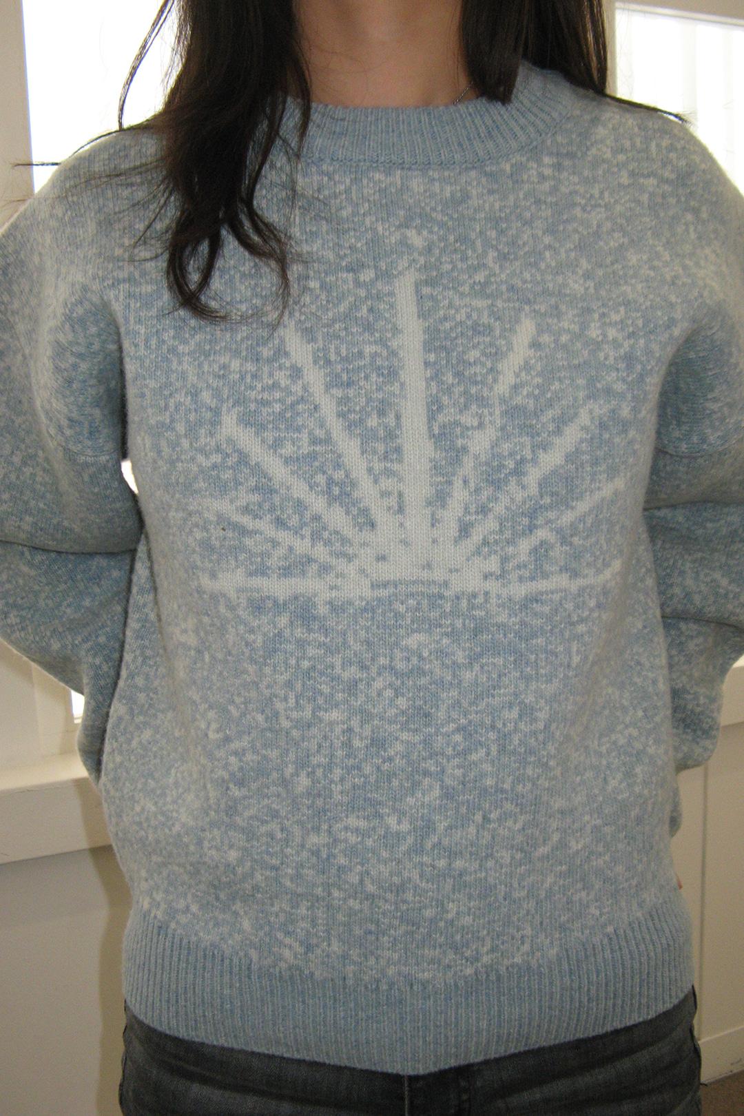 Surnburn Jacquard Wool Round Knit (SKY BLUE)