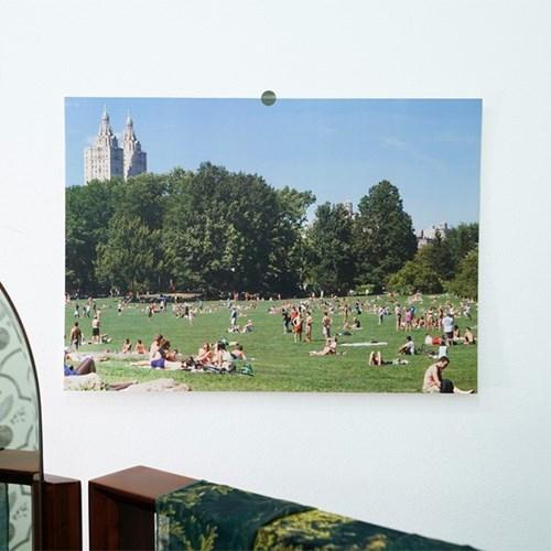 포스터 - The mild day a3