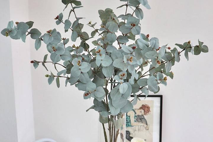 그레이쉬 그린 유카리_조화 가지