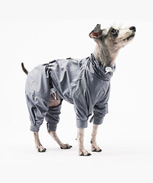 인터라켄  강아지 바람막이