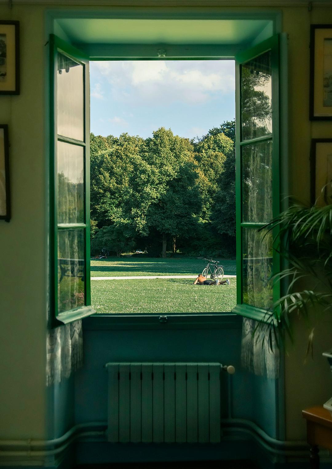 Window, summer #1