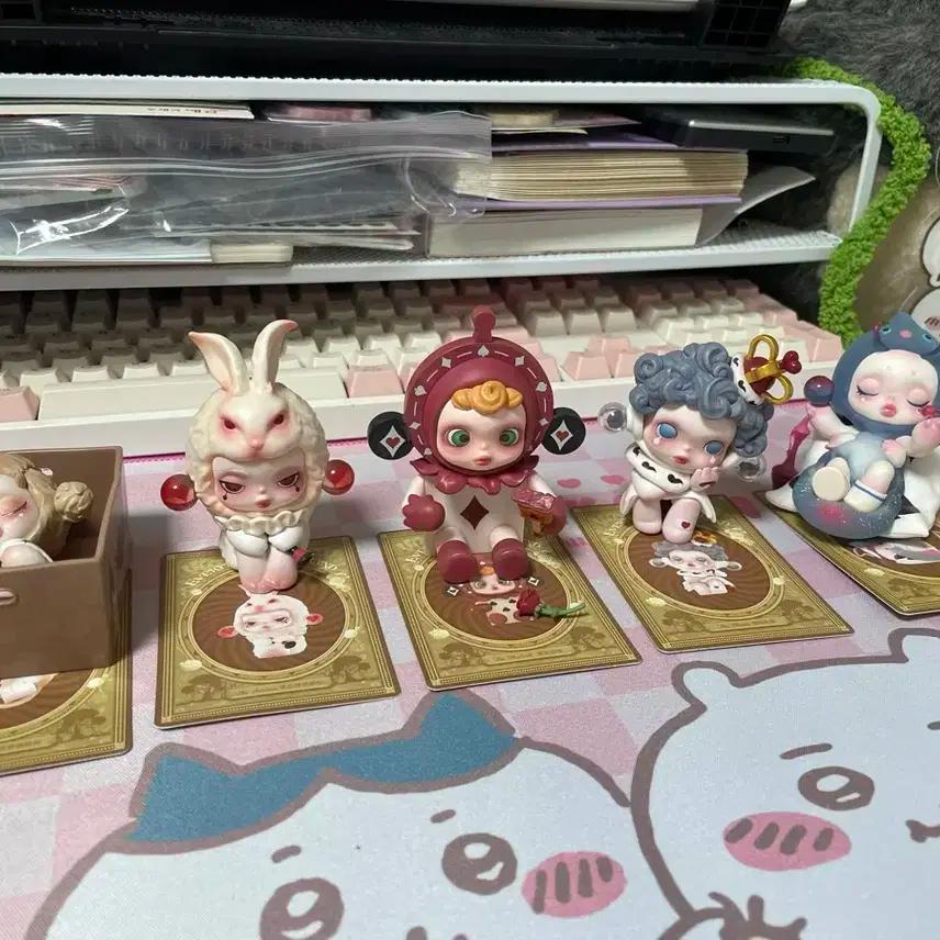 스컬판다 원더랜드 시리즈 5종 (일괄)