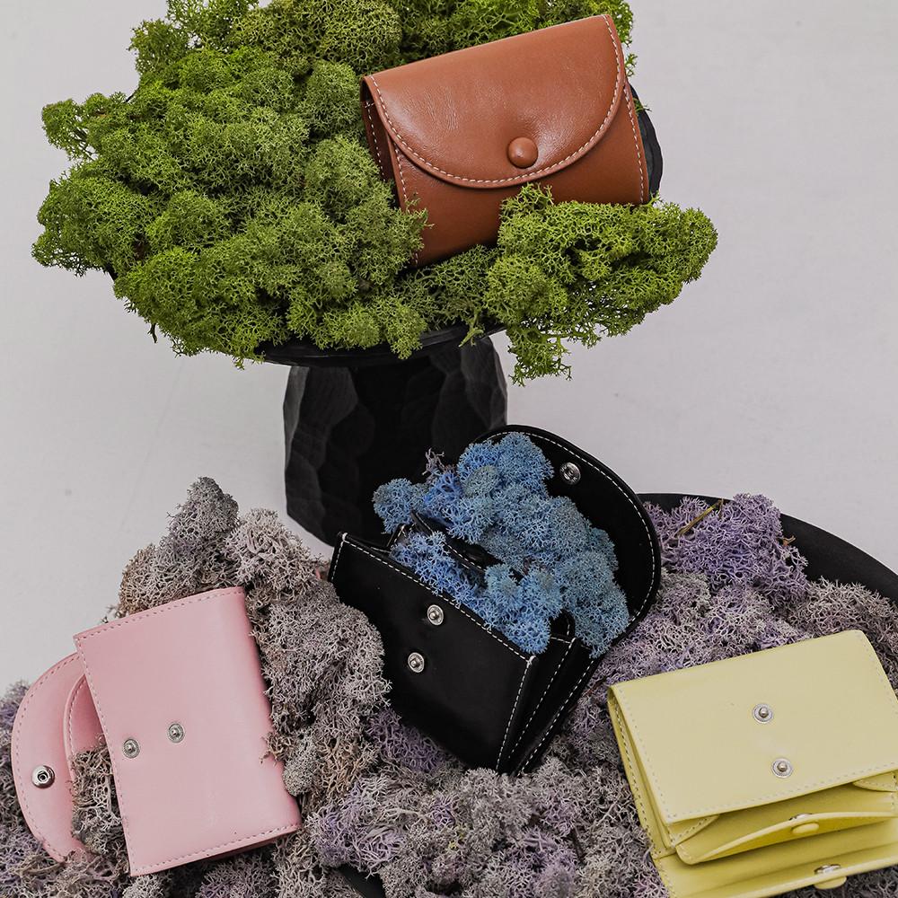 도트 투포켓 동전 명함 카드지갑 (4컬러)