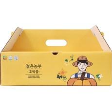 젊은농부 호박즙, 3000ml, 1개