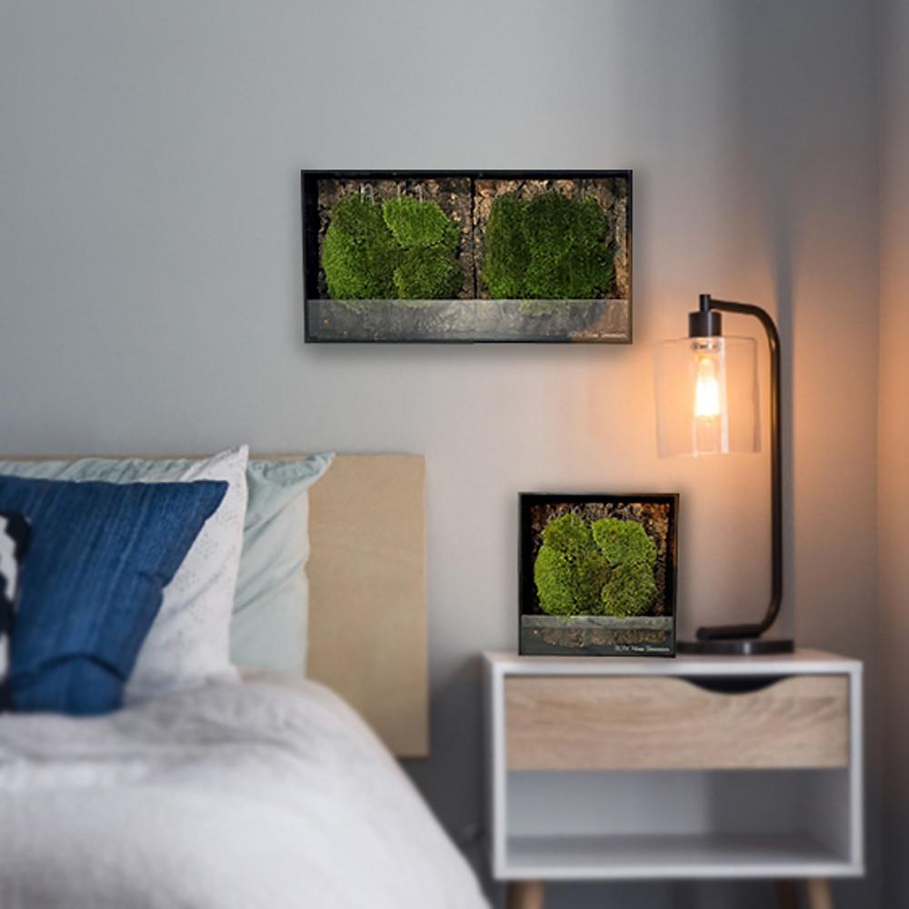 모스이끼테라리움(L사이즈)BOM이끼액자 공기정화 식물인테리어액자 미세먼지제거