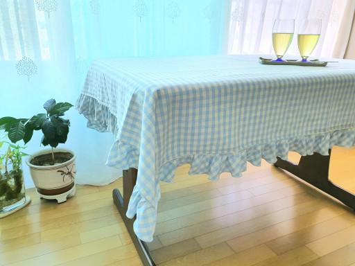 스카이블루 체크 테이블보