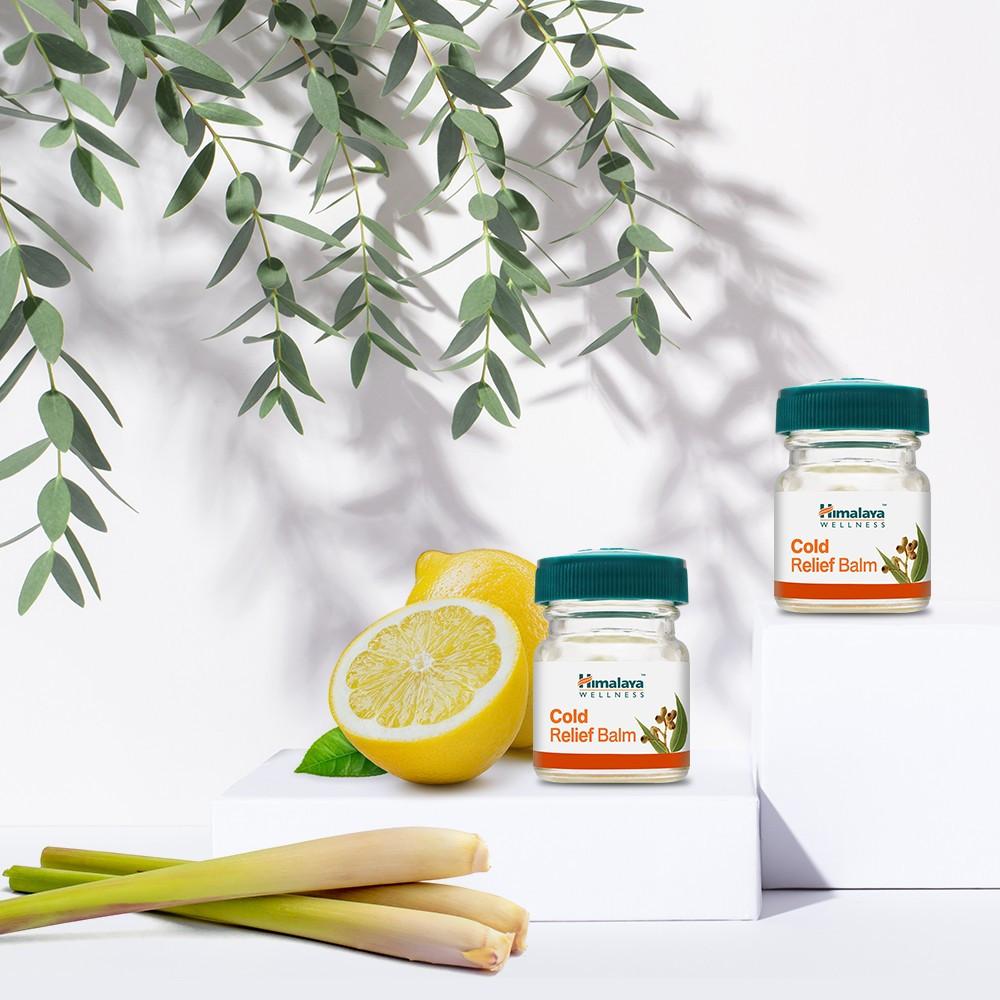 히말라야 콜드 릴리프 밤 마사지 힐링 아로마 멀티밤 10g 1+1