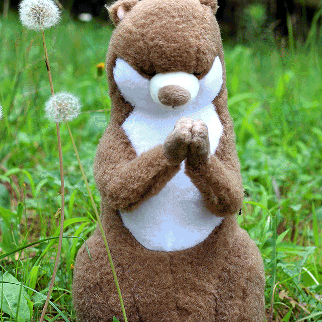 소원인형 소망 학업 취업 시험 성취 수능 여행 날씨 소원 들어주는 수달 기도 인형 애착인형 스트레스 해소 중독 친구 생일 선물 인테리어 소품 [CISMAS]