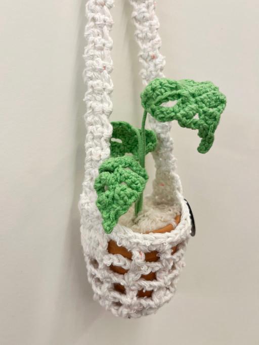 뜨개 미니 몬스테라 행잉 화분