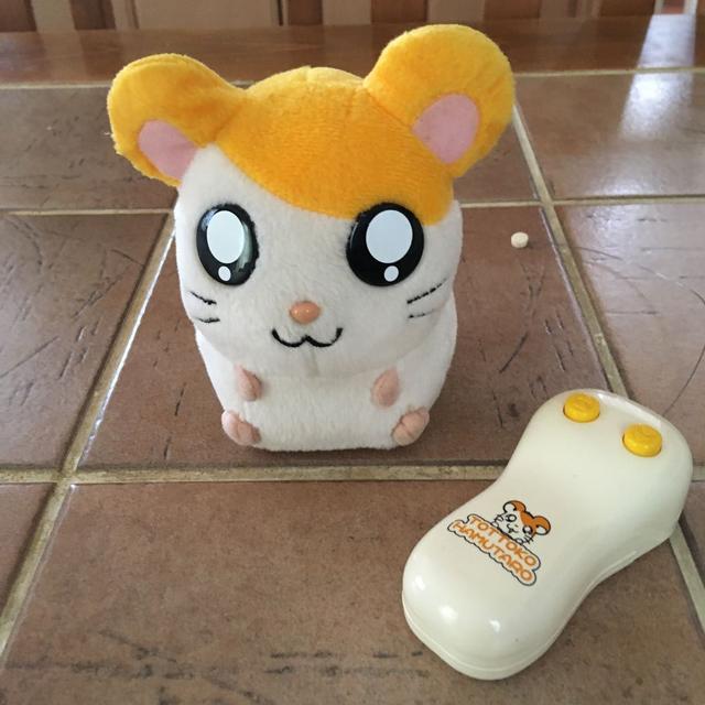 にゃんにゃんにゃんこ・にゃんこ飯店フォトフレーム(ネコ一般
