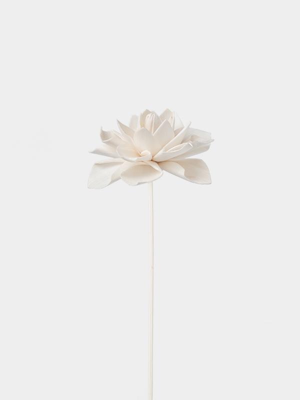 가드니아 9cm