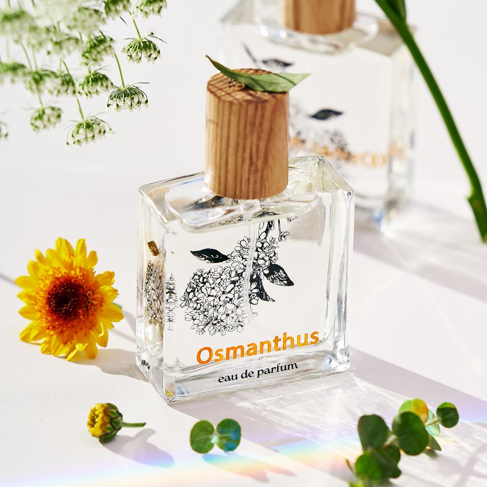 세이리 금목서 오스만투스 니치향수, 만리향 프루티플로럴 오드퍼퓸 50ml