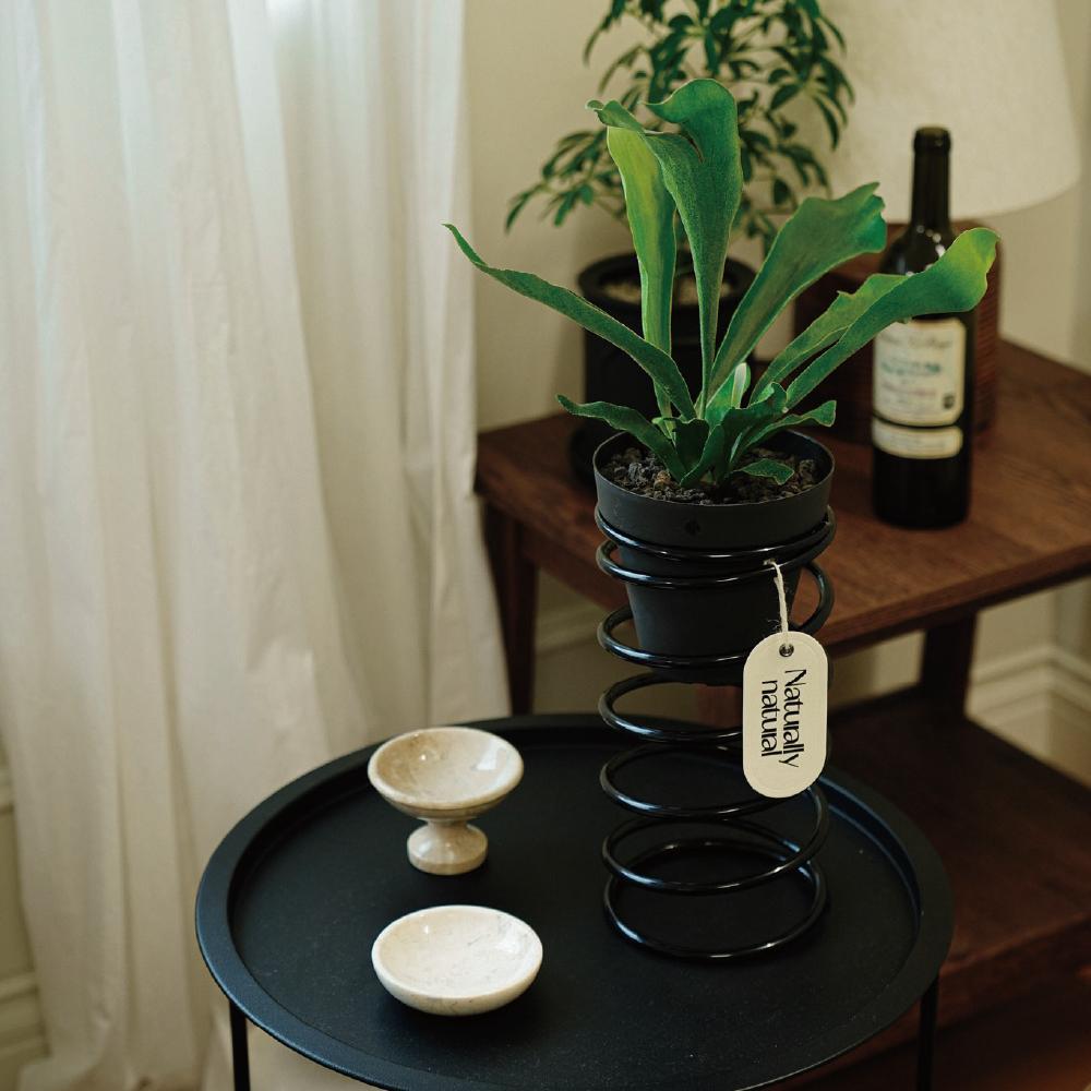 [29CM 단독][내추럴리내추럴] Spring spring Small - BLACK