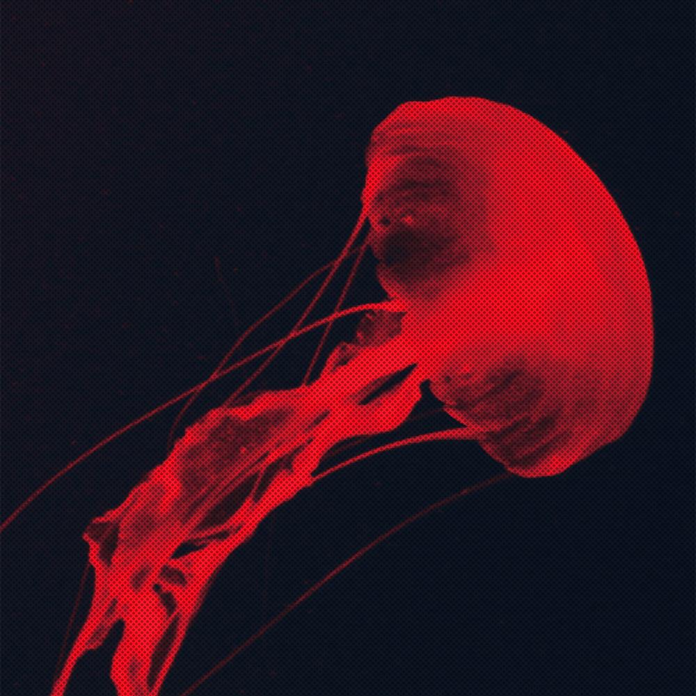 [씨스루랩] 히토리키리 해파리 포스터