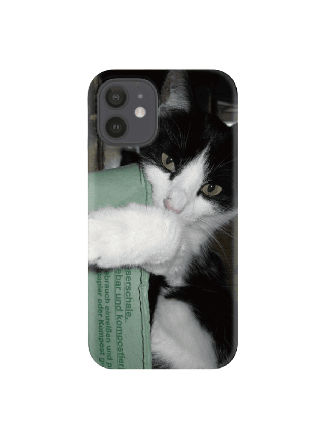 breaktime cat case