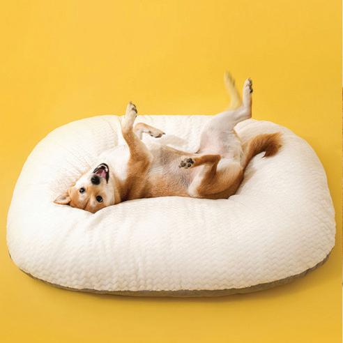 인뮤즈 강아지 몽글몽글 구름 방석 - 쿠션하우스 | 쿠팡