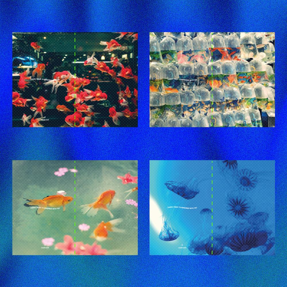 [씨스루랩] 물생활 수족관 무지 노트