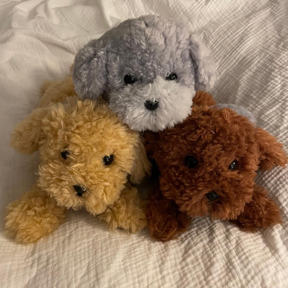 [선레몬] SUNLEMON 무릎인형 토이푸들 강아지