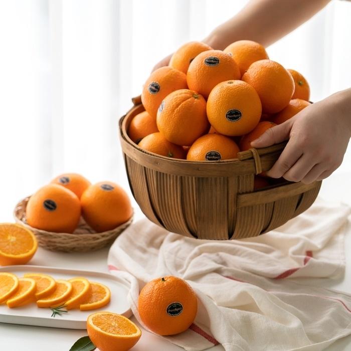 [티몬] [무료배송] 고당도 명품 퓨어스펙 블랙라벨 오렌지 15과 중소과