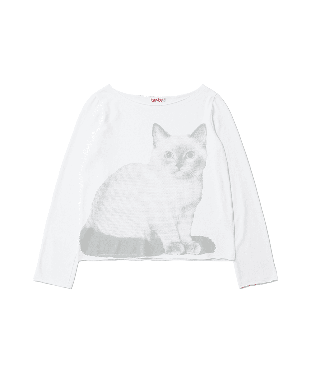 CAT OFF SHOULDER
