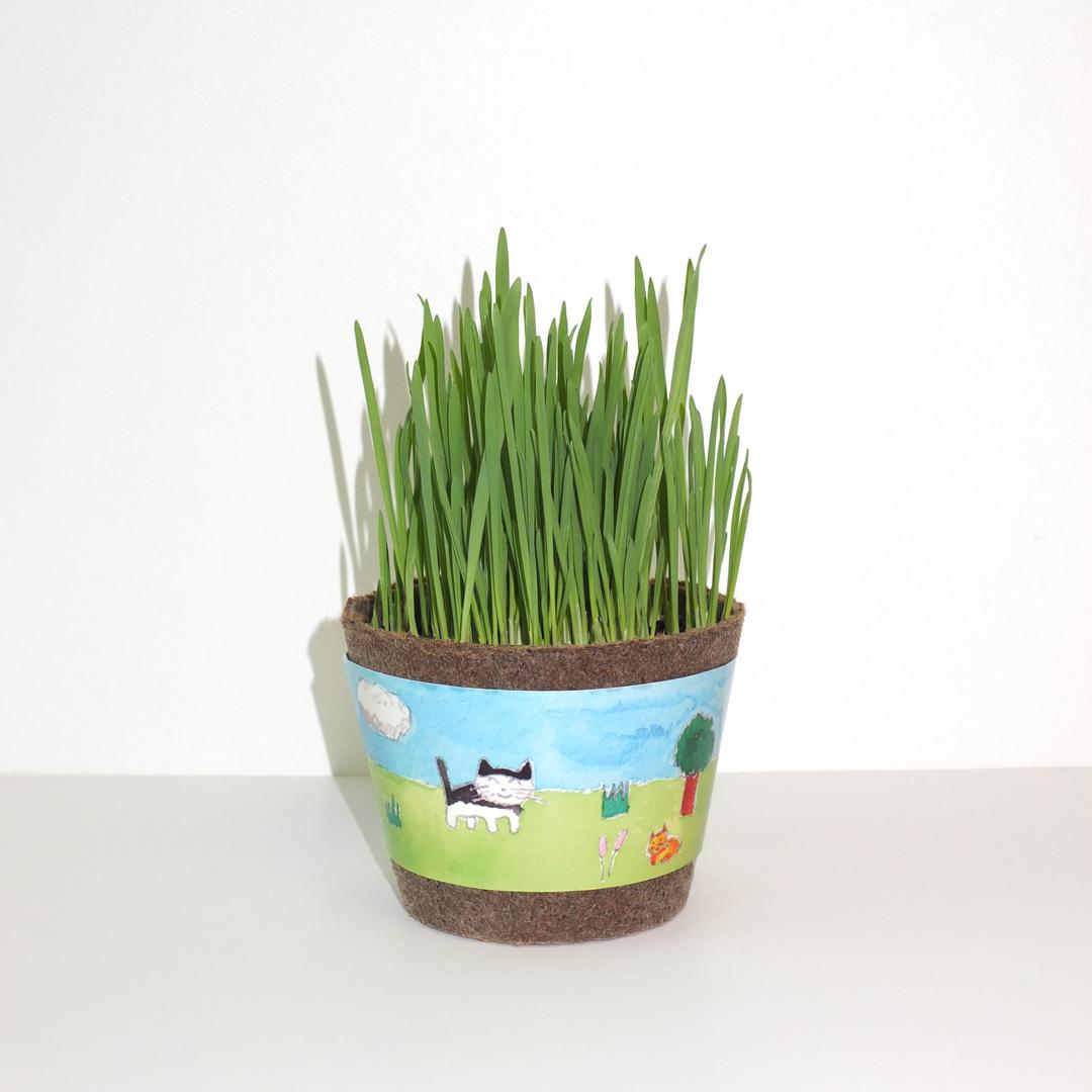 Cat Grass Kit - 캣그라스