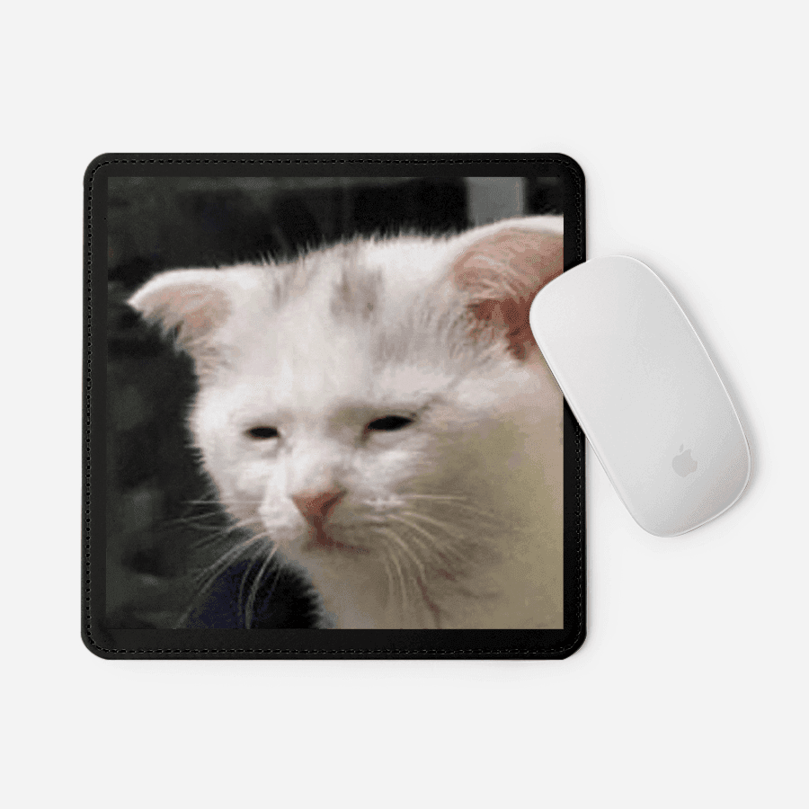 고양이 하찮은고양이 마우스패드 ㅣ 마플샵